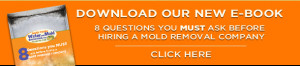 8 Questions You Must Ask Before You Hire A Mold Removal Company
