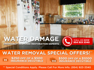 Water Removal company