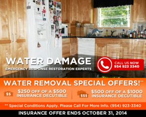 Mold Removal Company