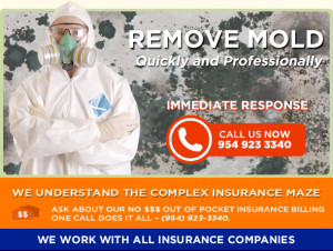 South Florida Water and Mold Restoration
