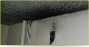 Smoke & Fire Damage repairs