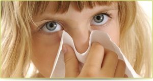 mold removal company