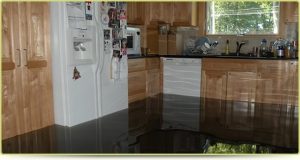 Water Damage repair company