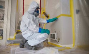 mold remediation