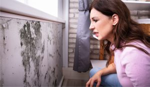 water damage mold