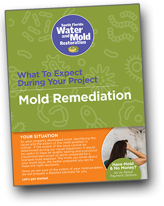 mold remediation