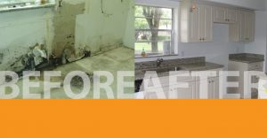 water mold damage