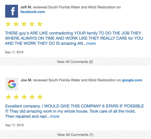 best mold remediation company